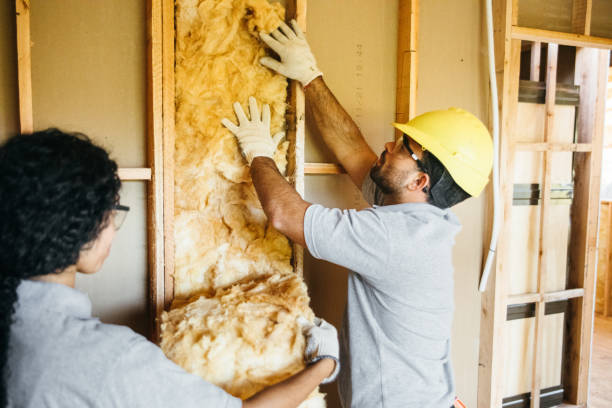 Best Home Insulation Services  in Syracuse, UT