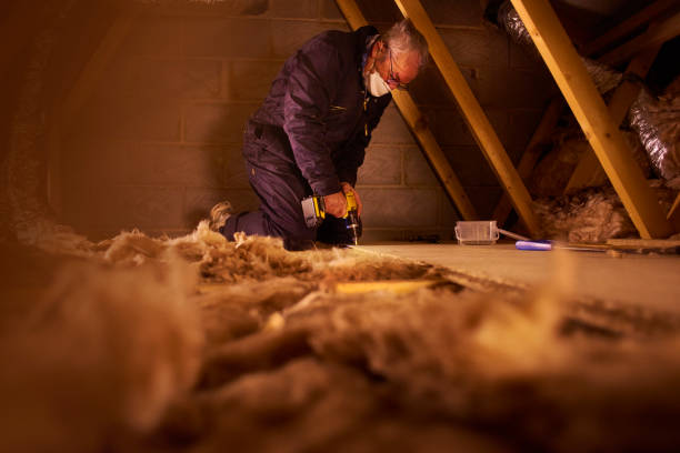 Professional Insulation Contractor in Syracuse, UT